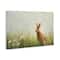 Stupell Industries Brown Rabbit with Daisies Canvas Wall Art